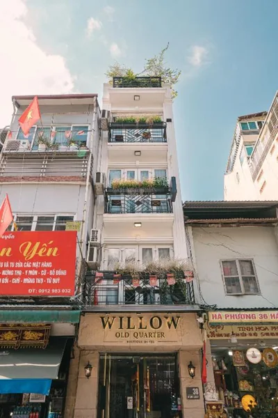 Hanoi Old Quarter Willow – 照片 6